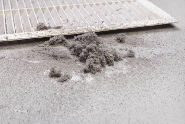 Best Air Duct Mold Removal  in Taos, NM