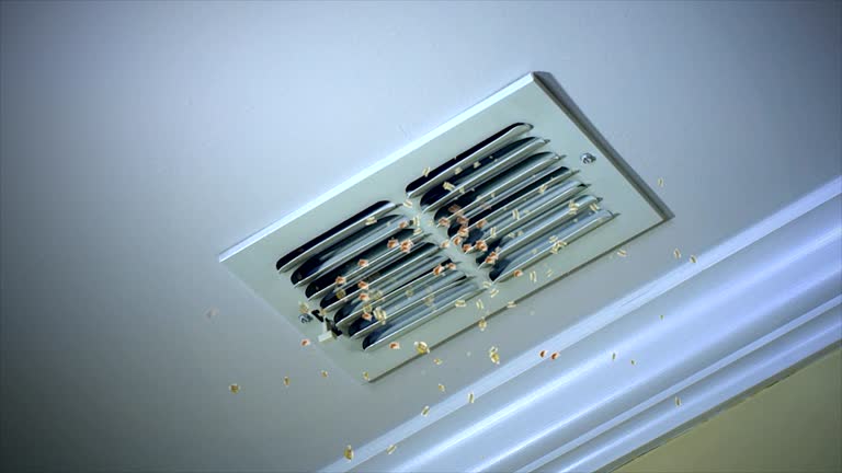 Trusted NM Airduct Cleaning Experts