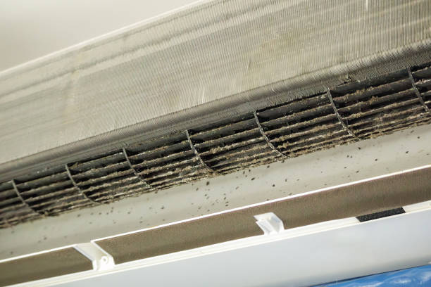 Best Air Duct Inspection  in Taos, NM