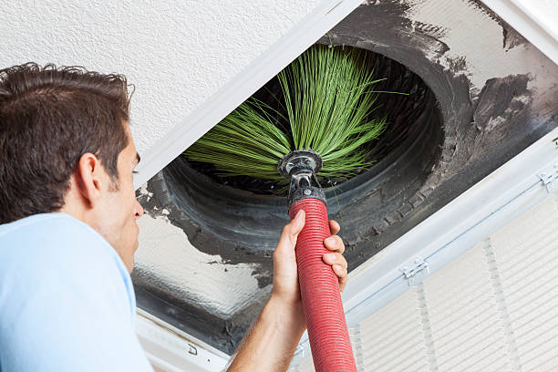 Air Duct Mold Removal in NM